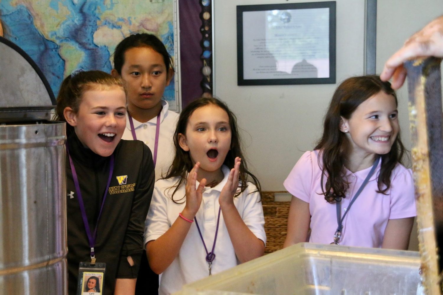 Sixth grades observing honey extraction in science class