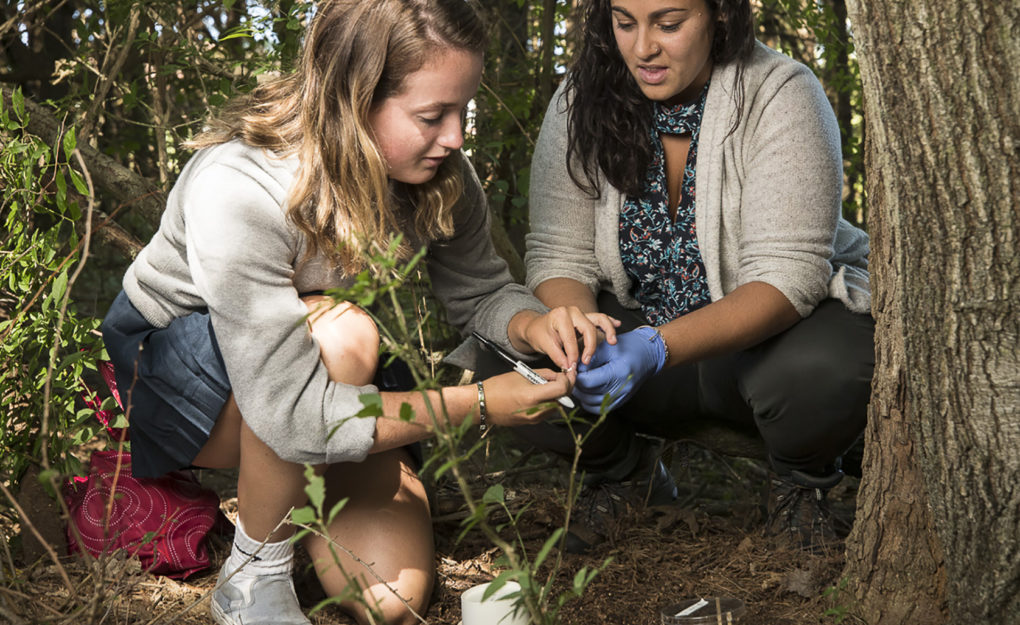 Tropical Ecology lab