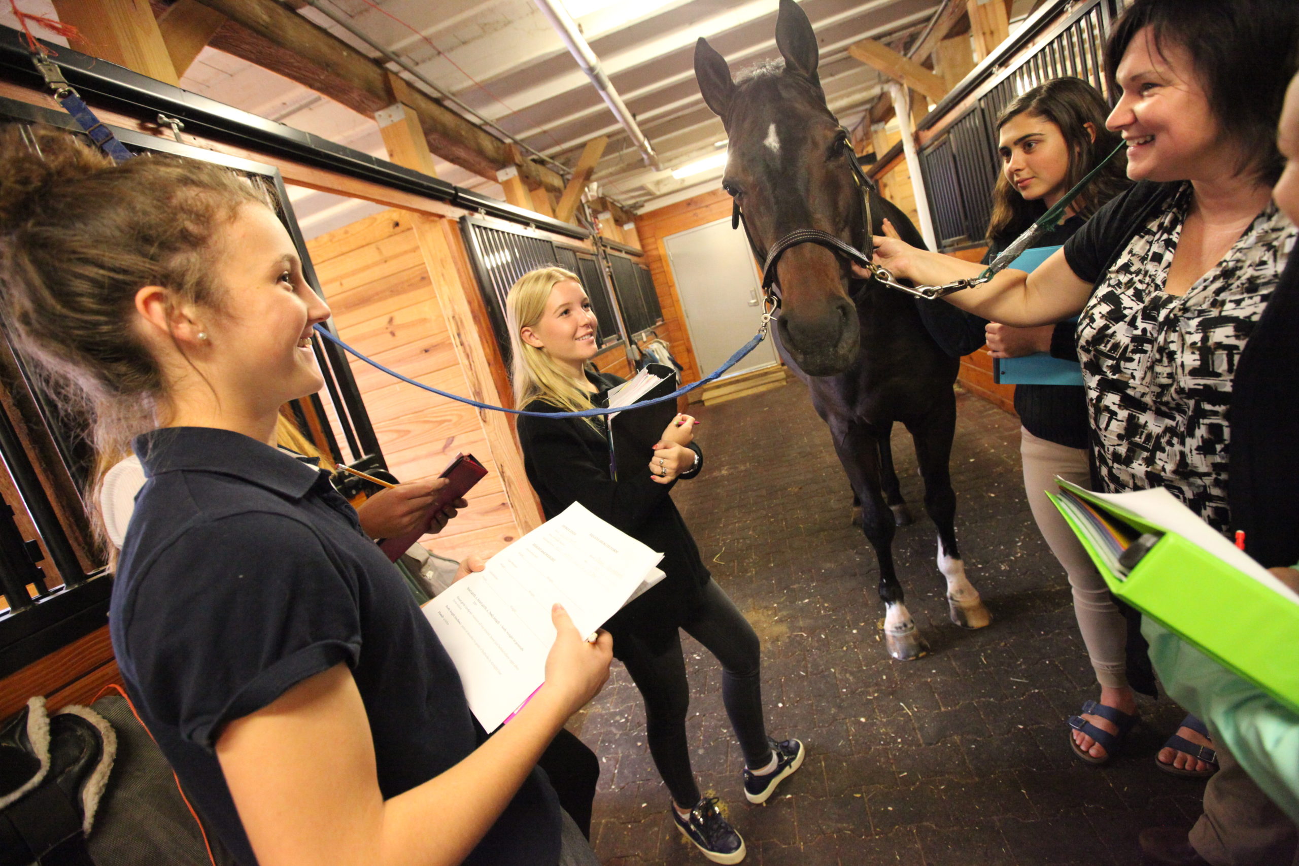 Students in Dr. Suzanne Piela's Equine Science Class