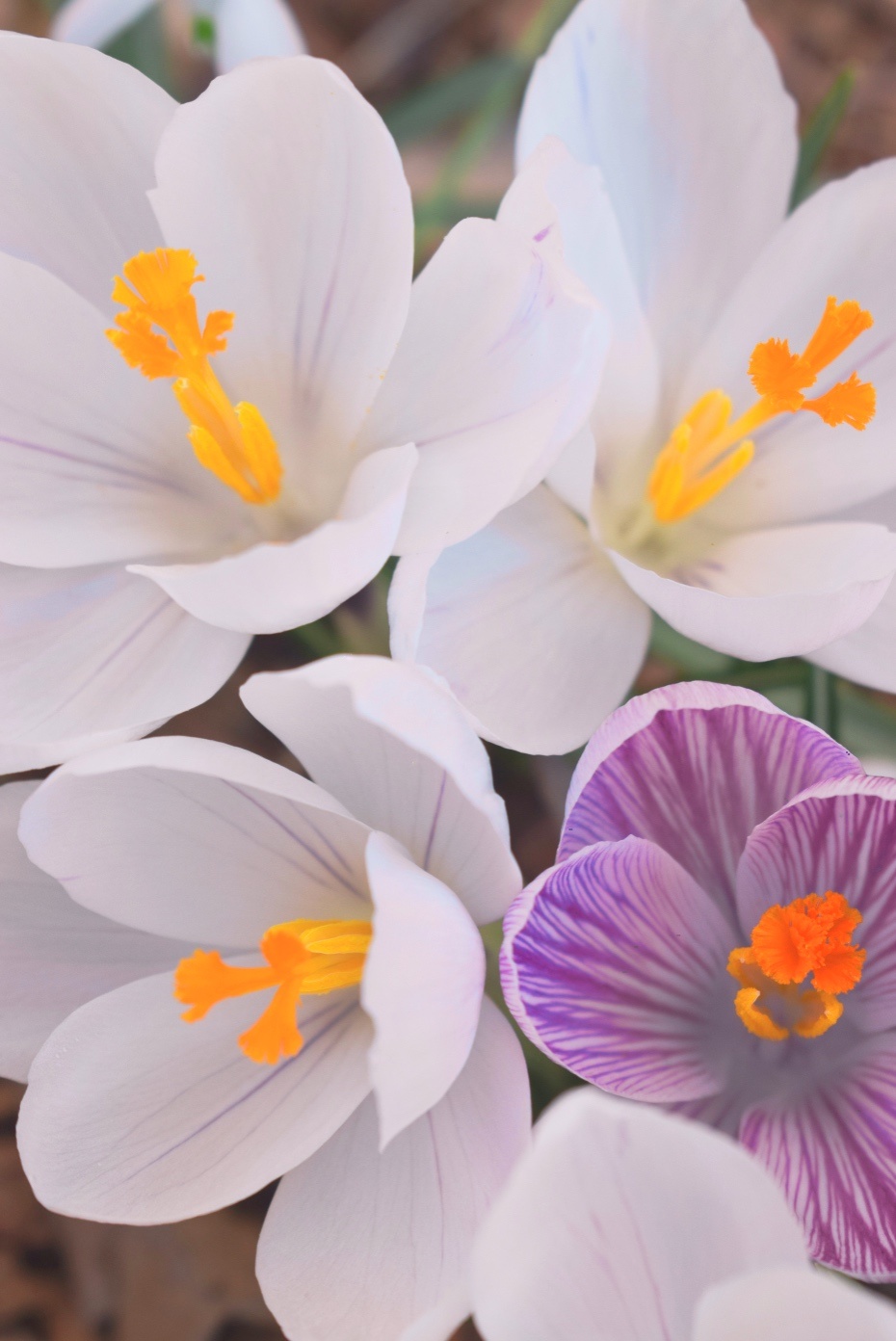 Valeriia L. '22 photo of the week